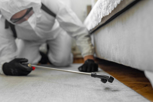 Professional Termite Control technician working in Gentry, AR