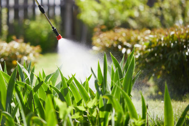 24/7 Emergency Termite Control experts in Gentry, AR
