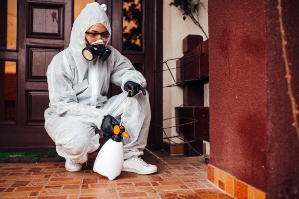 Reliable Termite Control contractor in Gentry, AR by Nex Pest Control